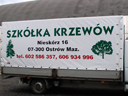 szkółka krzwów