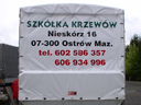 szkolka krzewow